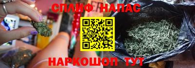 СК Донской