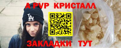 СК Донской