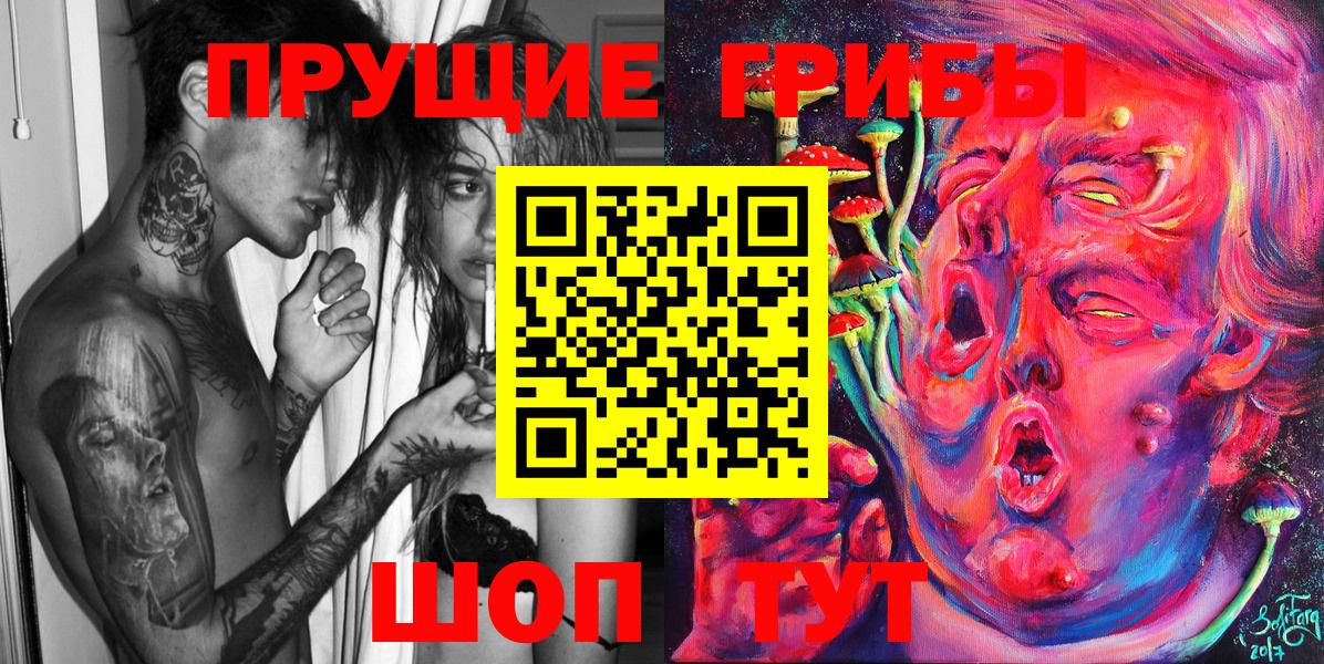 Нарткала  Псилоцибиновые грибы Psilocybe  Галлюциногенные грибы Psilocybe  Вход с VPN 
